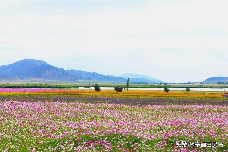 西天取经自驾游攻略,贵州出发自驾敦煌旅游攻略
