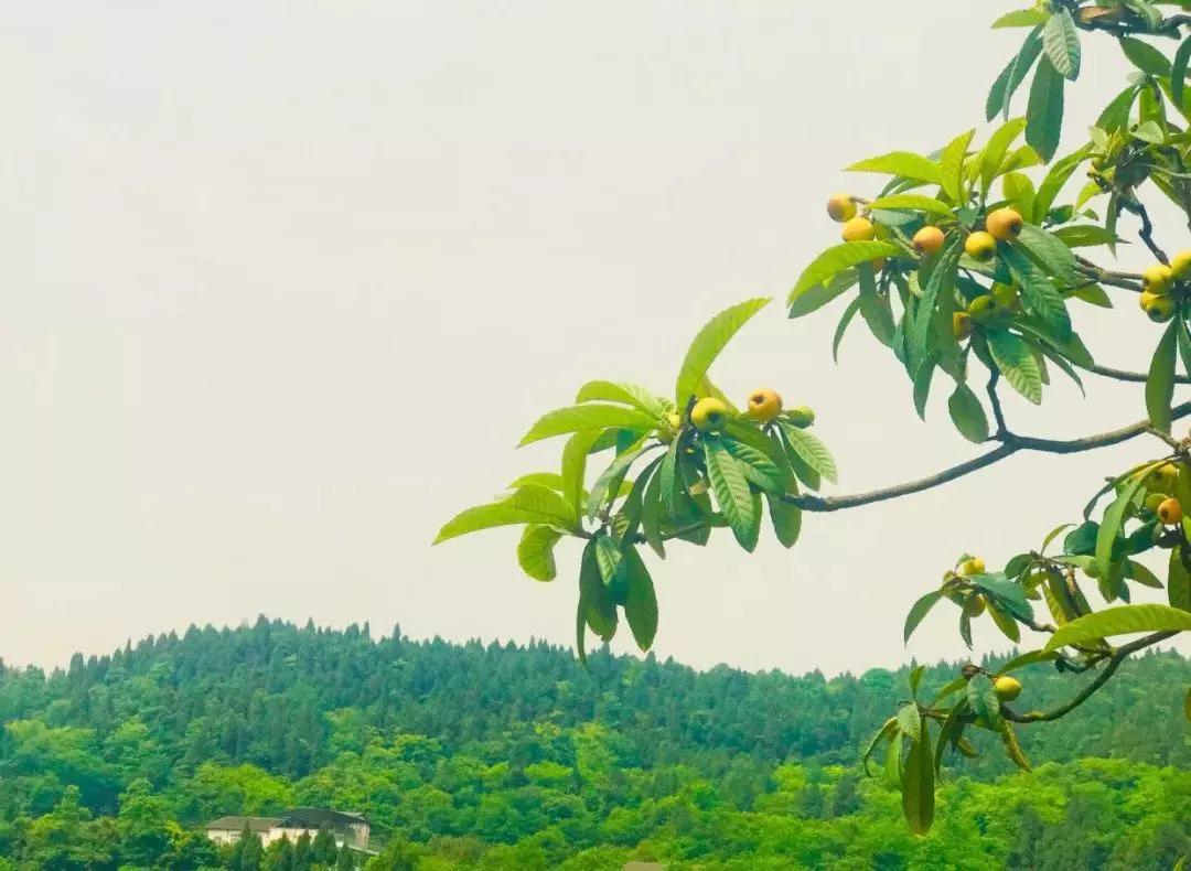 阳历阴历农历三者的关系,农历生日是阴历还是阳历