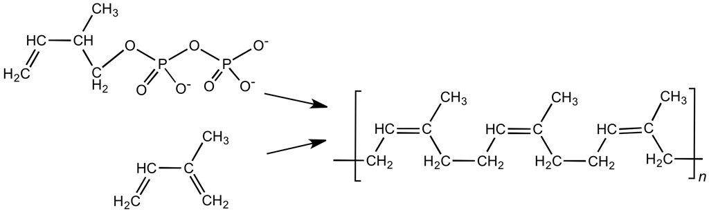 橡胶球为什么弹不起来,橡胶球为什么会伤手