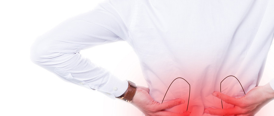 如何养肾修复肾功能,养肾脏护肾的方法和饮食