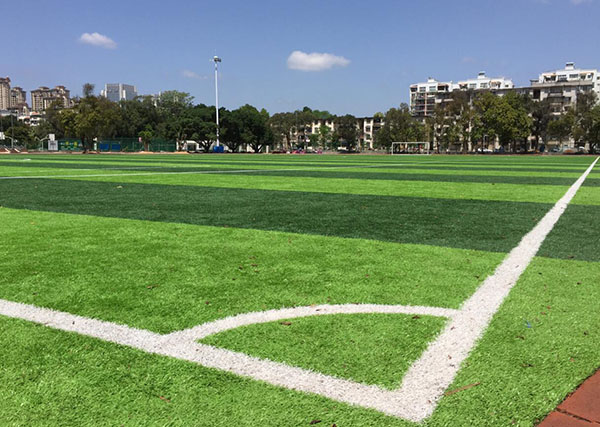 人造草坪价格,人造草坪生产的现状及发展