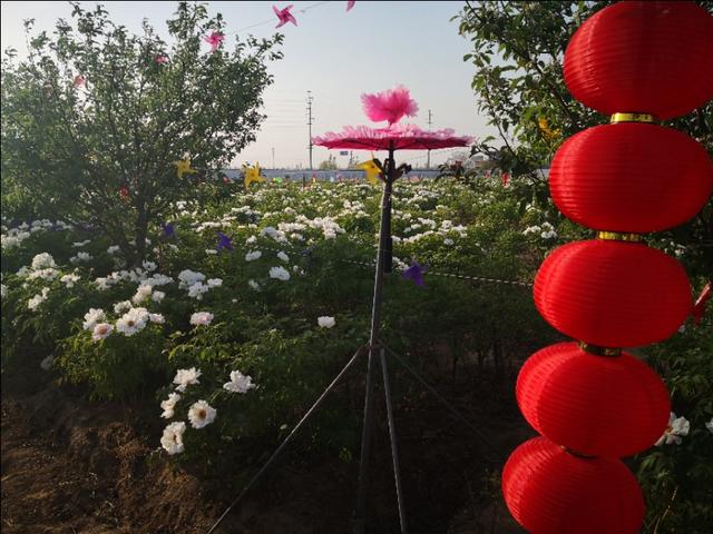 寻味沙河,寻味姐妹沙河烤鸡腿