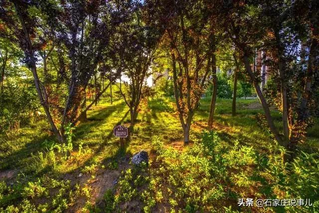 石家庄广电燕赵旅居：山东荣城一线海景看房团，不仅居住更可珍藏