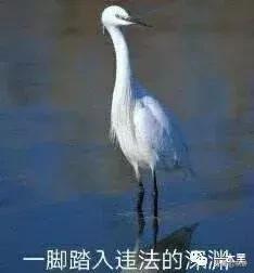 去网吧吃个鸡，结果走进了违法广告的天堂