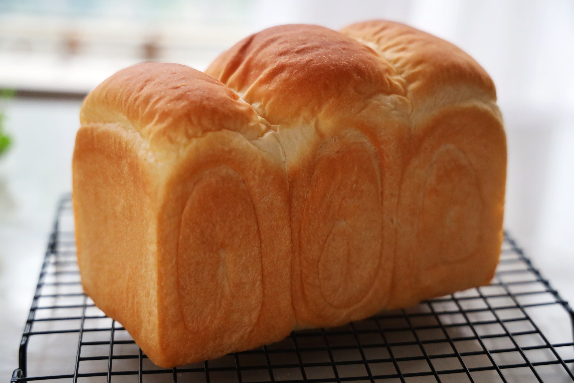 不用厨师机的拉丝全麦吐司,不用揉面的吐司做法