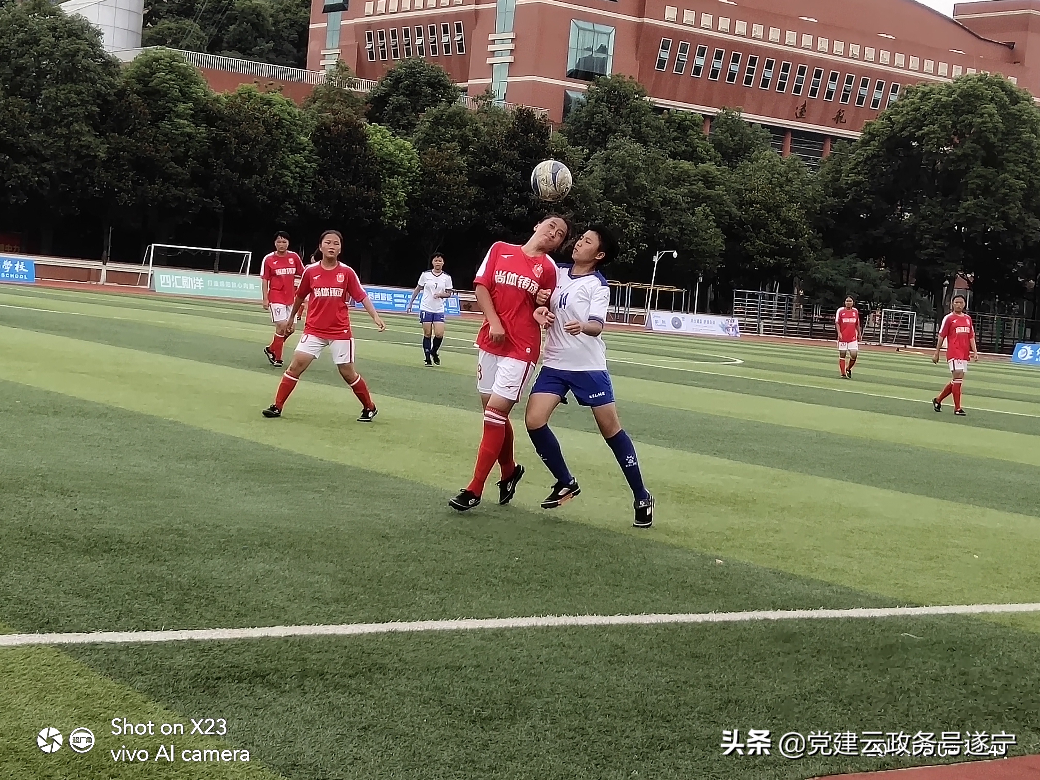 绿茵放飞梦想,足球绿茵放飞梦想