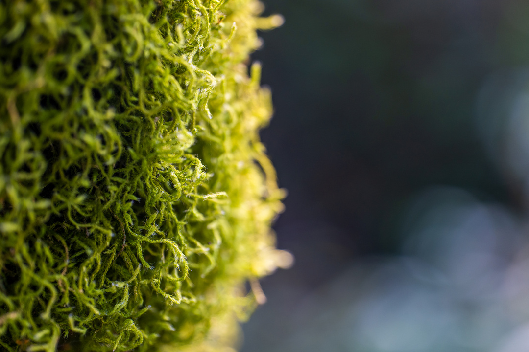 南靖一道美丽的风景线,南靖景区有哪些好玩的