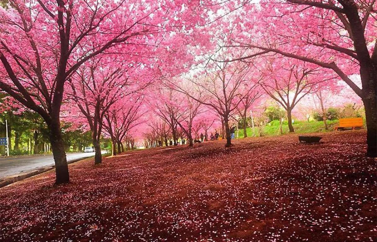 文案大全3000条模板,150000条爆款文案素材简短