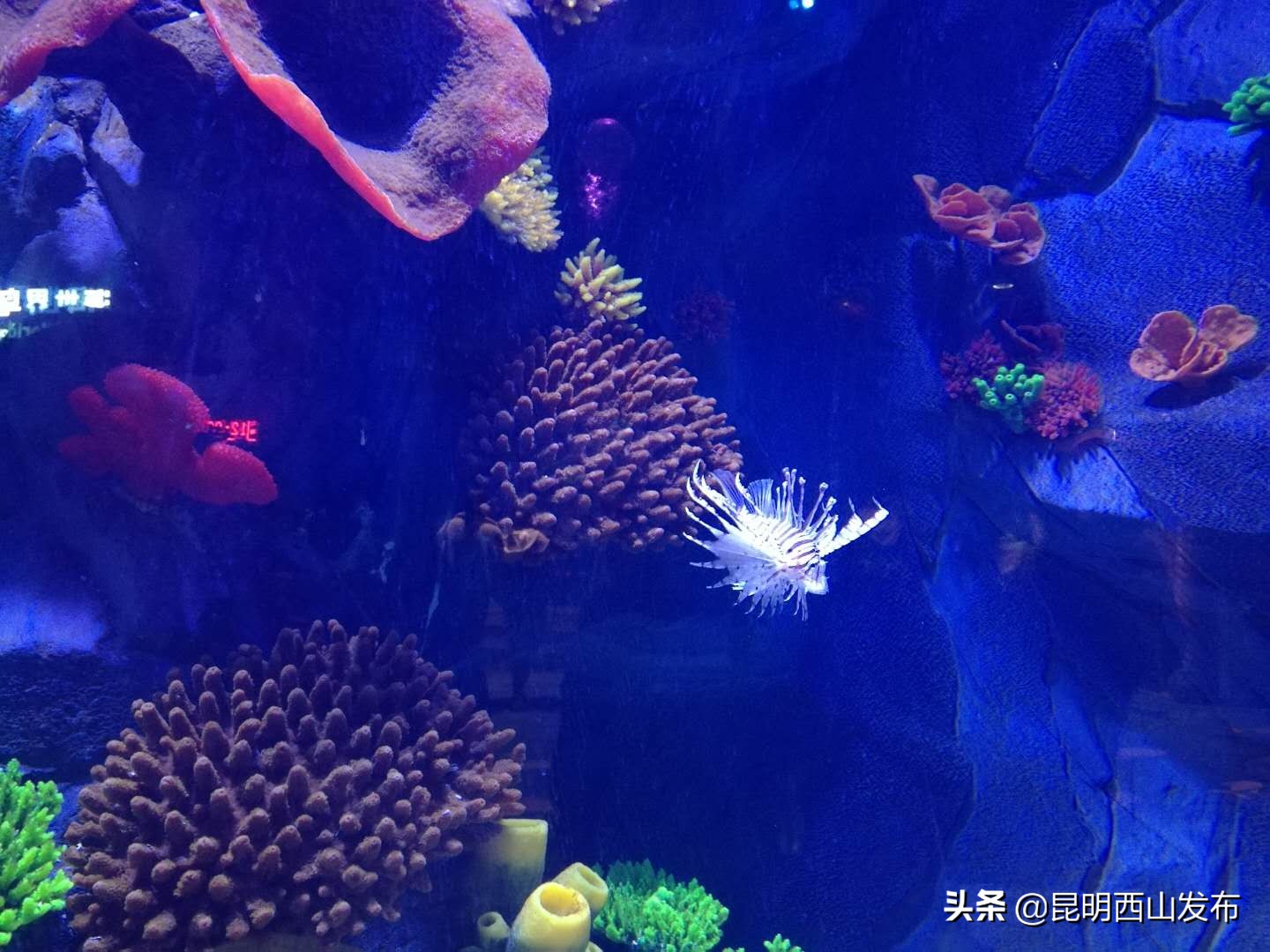 昆明融创文旅城冰雪世界,昆明融创冰雪世界攻略