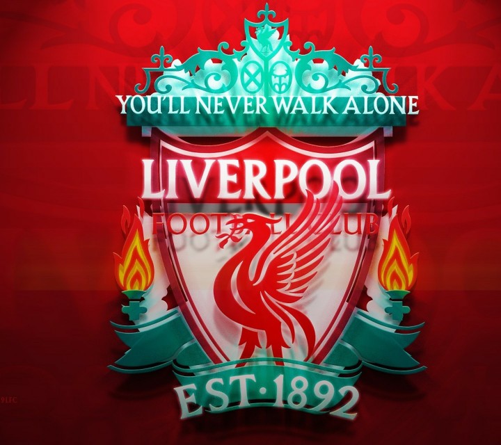 30队队徽,各足球队队徽大全