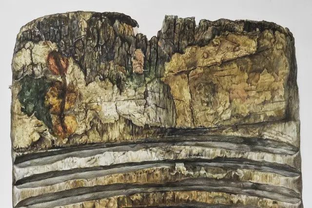 央美精微素描高清图片,央美精微素描多少分