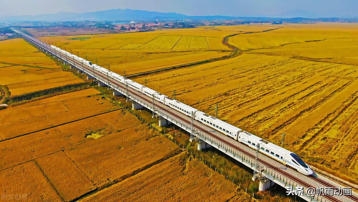 忆我的学匪同学：秘密身份