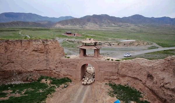 青海青稞丰收,青海沙棘丰收