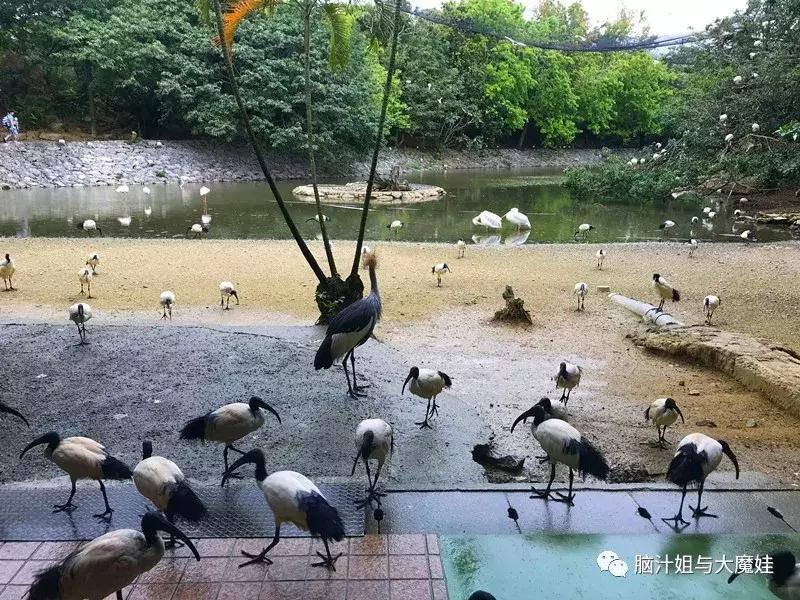 冲绳奥武山公园滑梯,冲绳旅游攻略自由行最新