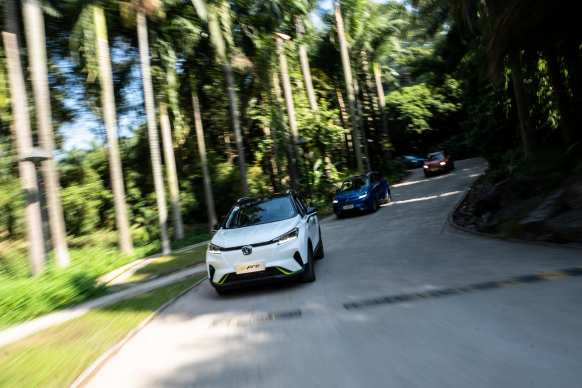 恒大八连冠后的场地,八冠王恒大当年有多强