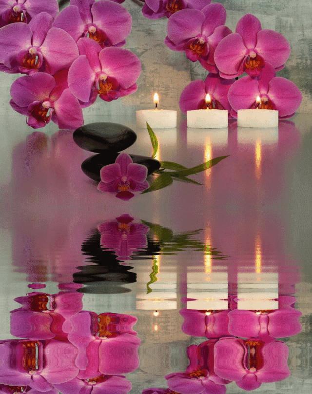 水中花郁可唯简谱动态谱,动态水中花歌词壁纸