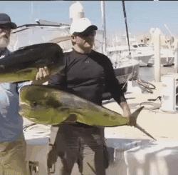 动图搞笑图片大全大图,搞笑图片动图送上