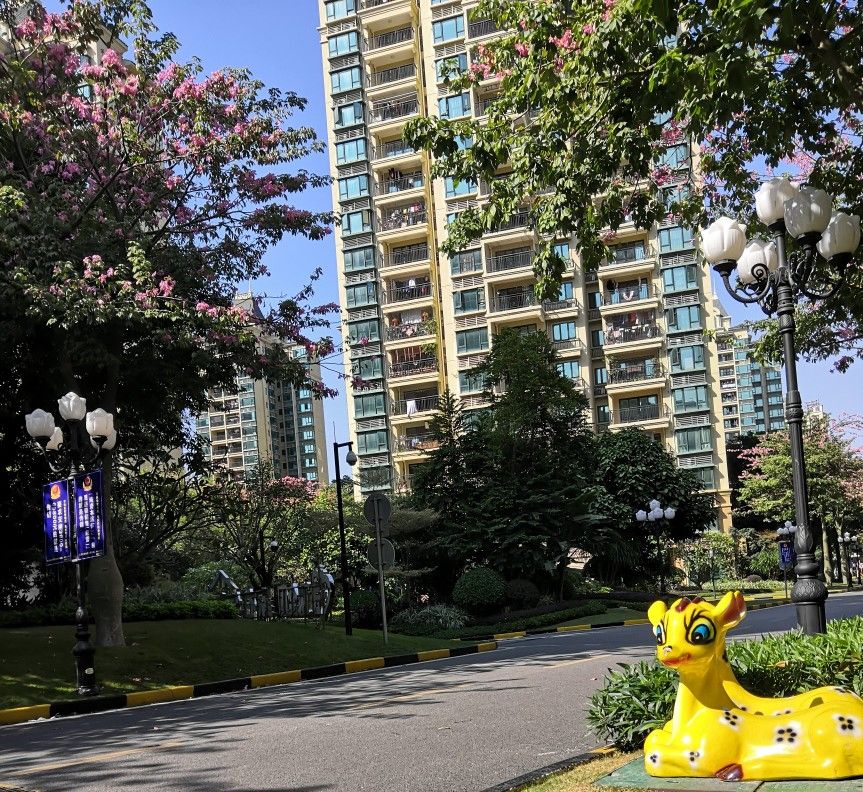 南宁真的不适合工作吗,南宁工作为什么迷茫