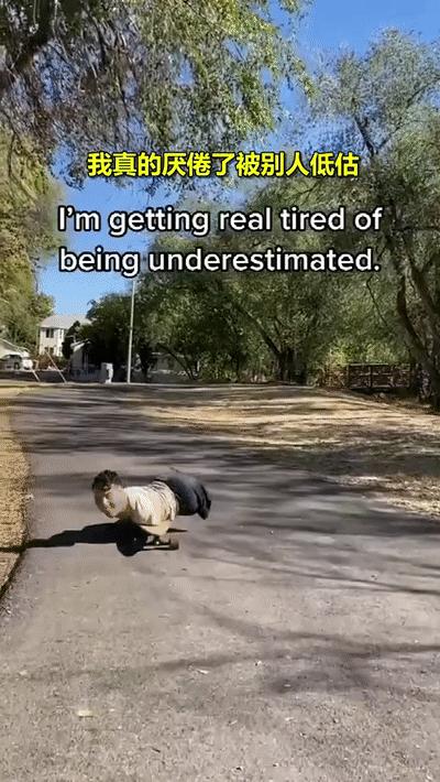 美国男子没手没脚,美国先天没有四肢的男孩