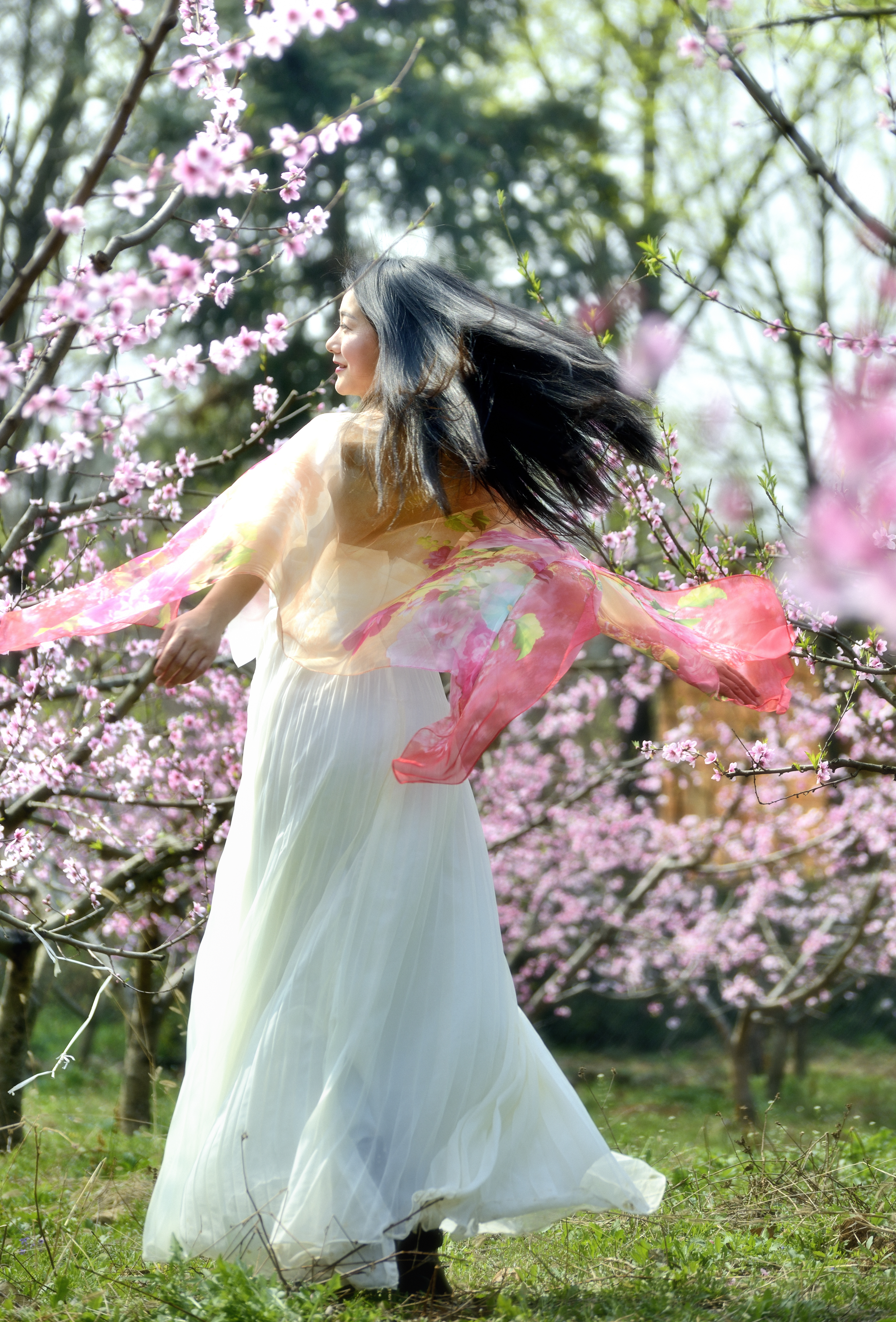 我与尼康北京行,尼康70-300mmf4.5-5.6g画质