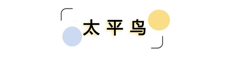 国产服装品牌性价比推荐,青少年喜欢的国产服装品牌