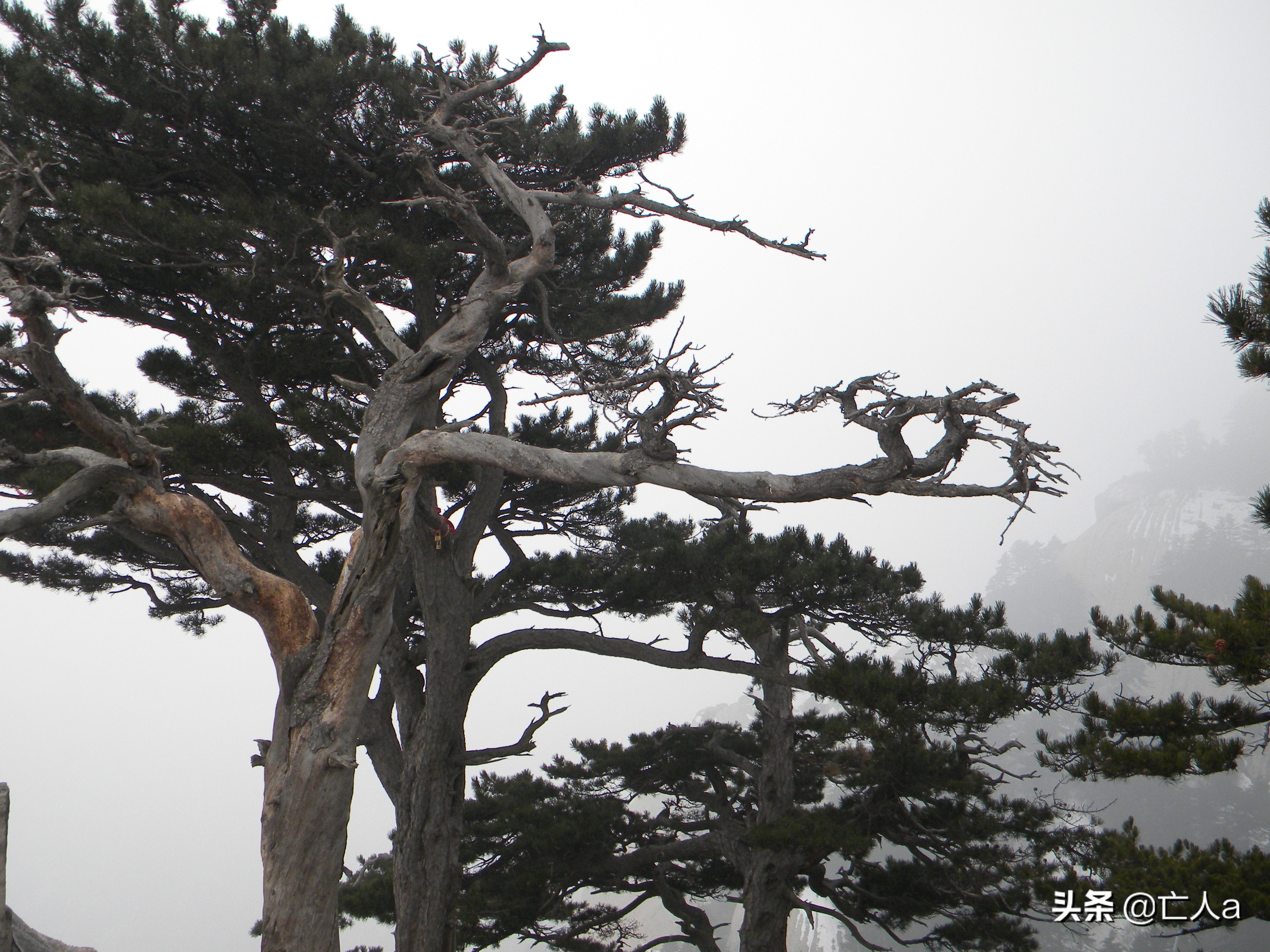 西岳华山徒步路线图,西岳华山行全景