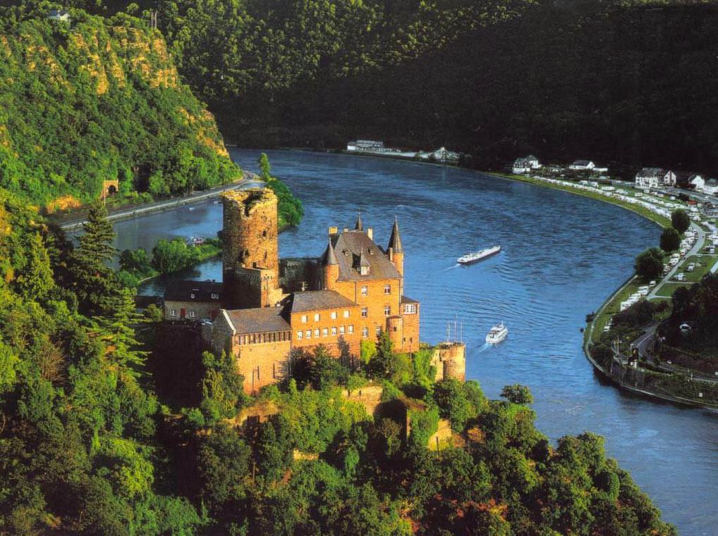 影子杂说：从游戏到现实，揭开历史上德鲁伊的神秘面纱