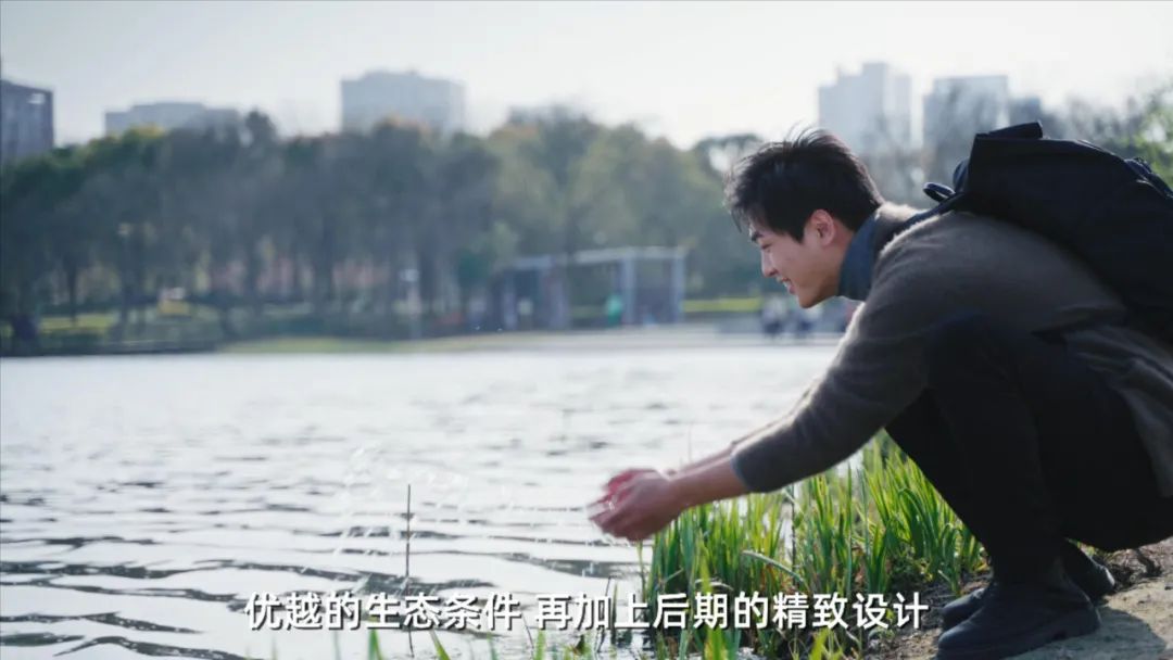 上海五大新城之嘉定,上海五大新城不包括金山吗