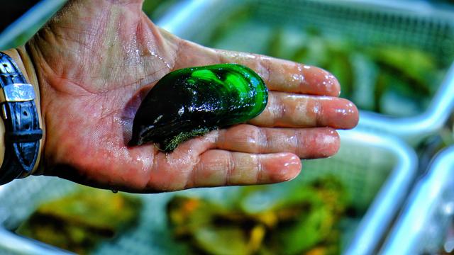 广东有什么适合游玩的岛屿,广东有什么好玩的海岛