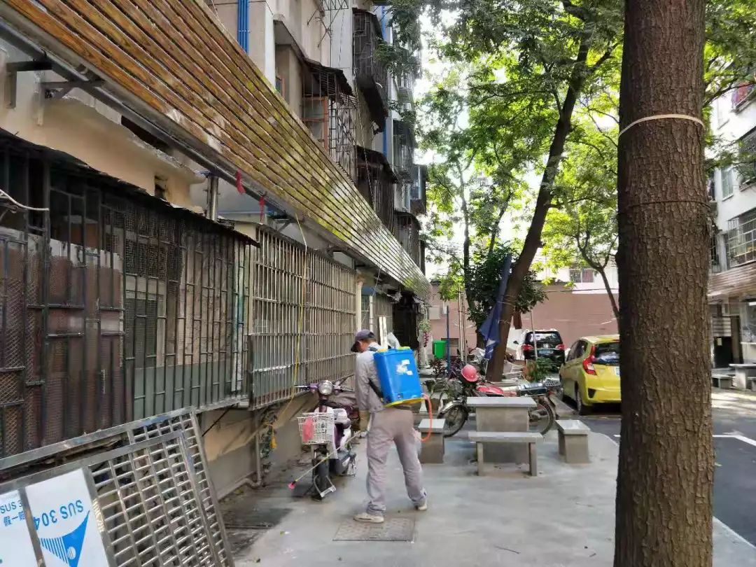 听妈妈的话杰伦即兴,杰伦听妈妈的话现场