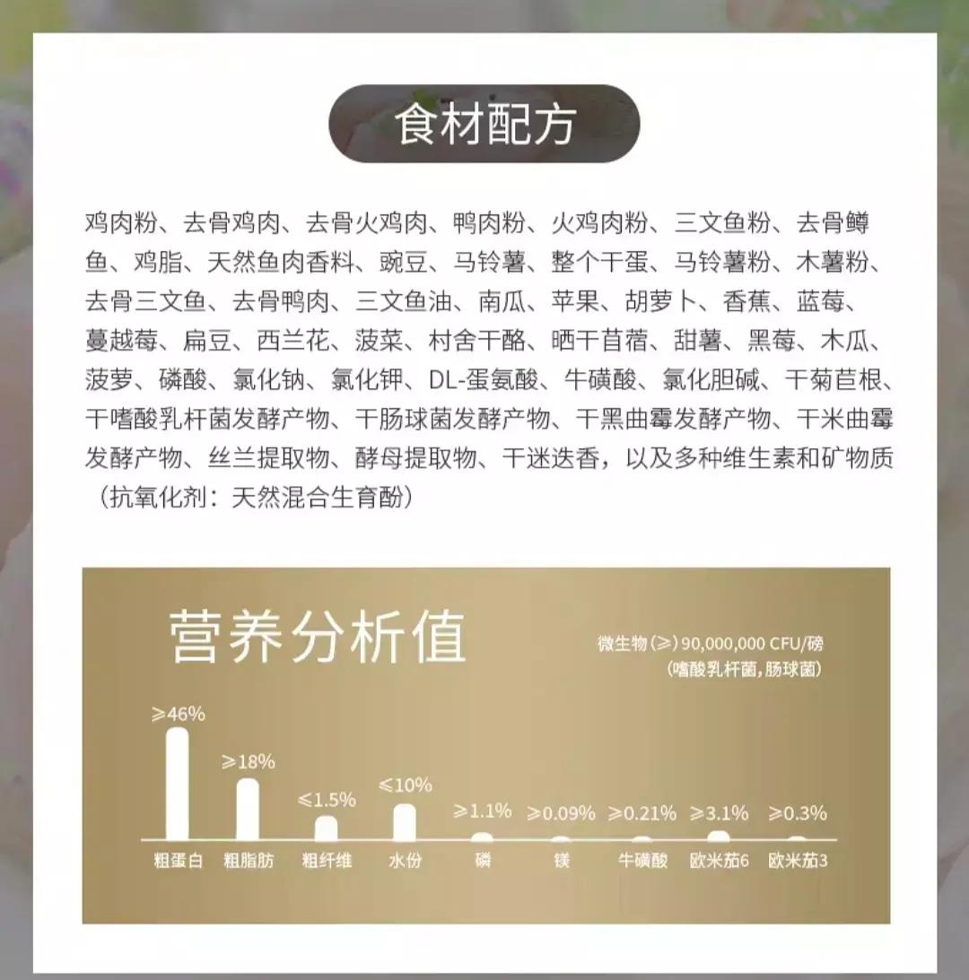 贫民窟女孩养猫好物合集,贫民窟养猫一个月花多少钱