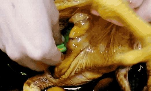 老公把整只鸡塞进电饭锅里,居然一点水都不放,出锅后口水都流了