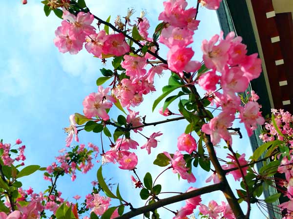 日本埼玉浦和,日本女团琦玉体育馆