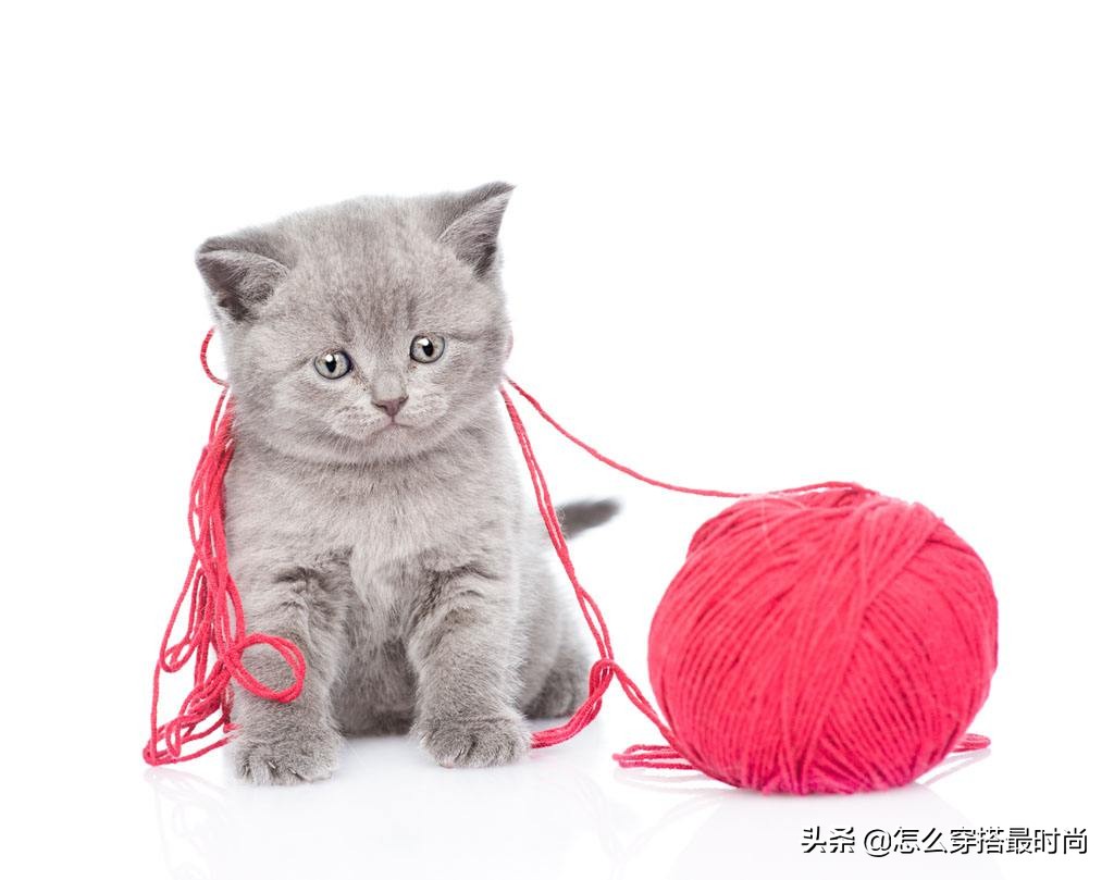 高级十字绣图案大全,十字绣怎样做不浪费线