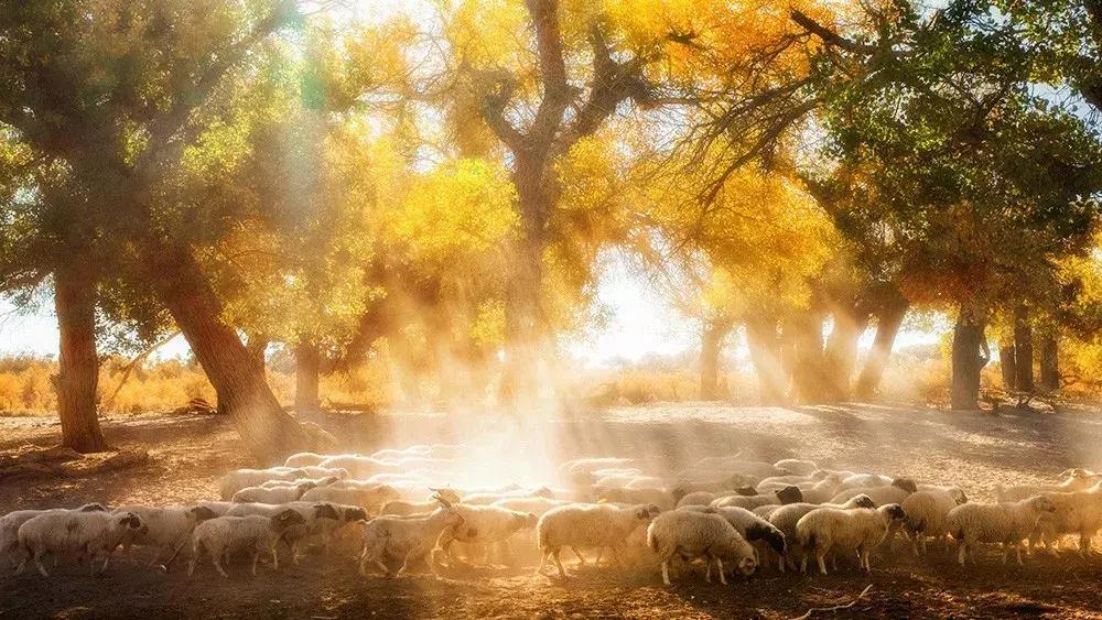 10月旅行地推荐最适合初秋出游,10月最适合慢慢旅游的地方