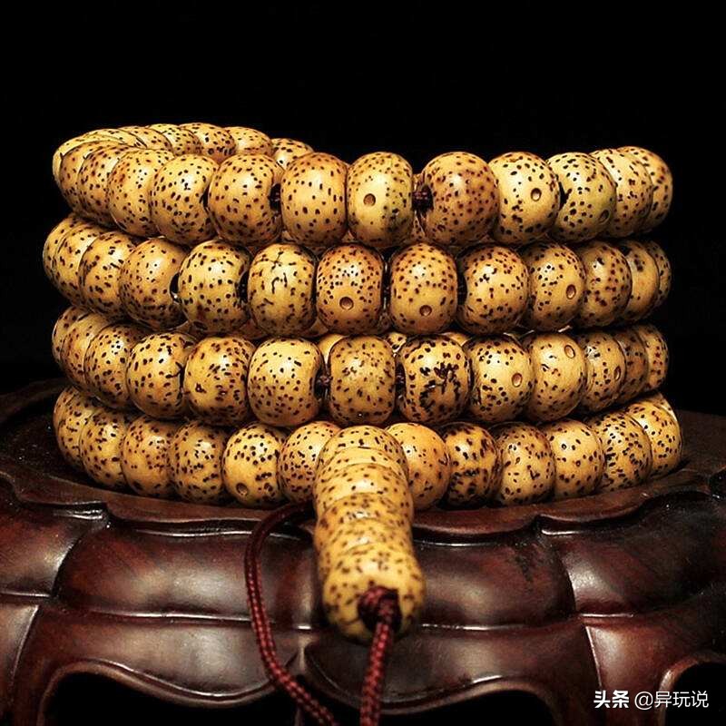 新手星月菩提适合买多大的,星月菩提4大禁忌