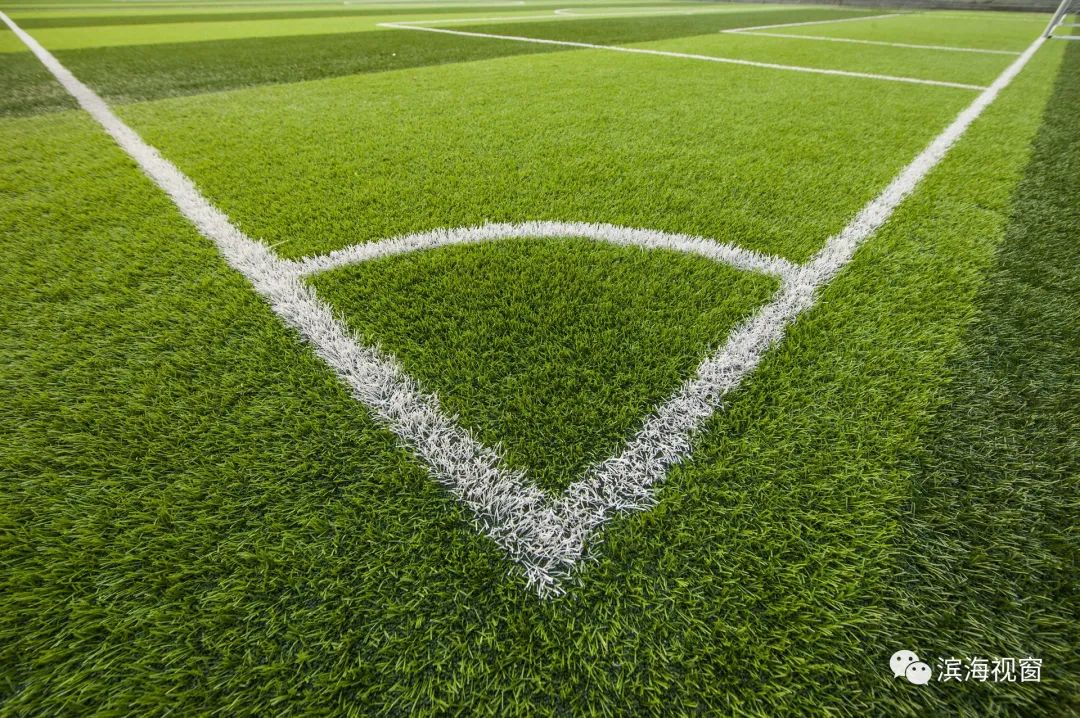 滨海足球场免费吗,新城区哪里有免费足球场