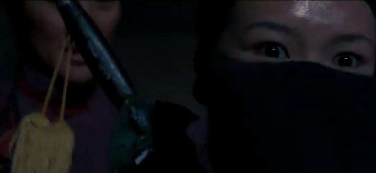 卧虎藏龙恋爱,卧虎藏龙理智与情感