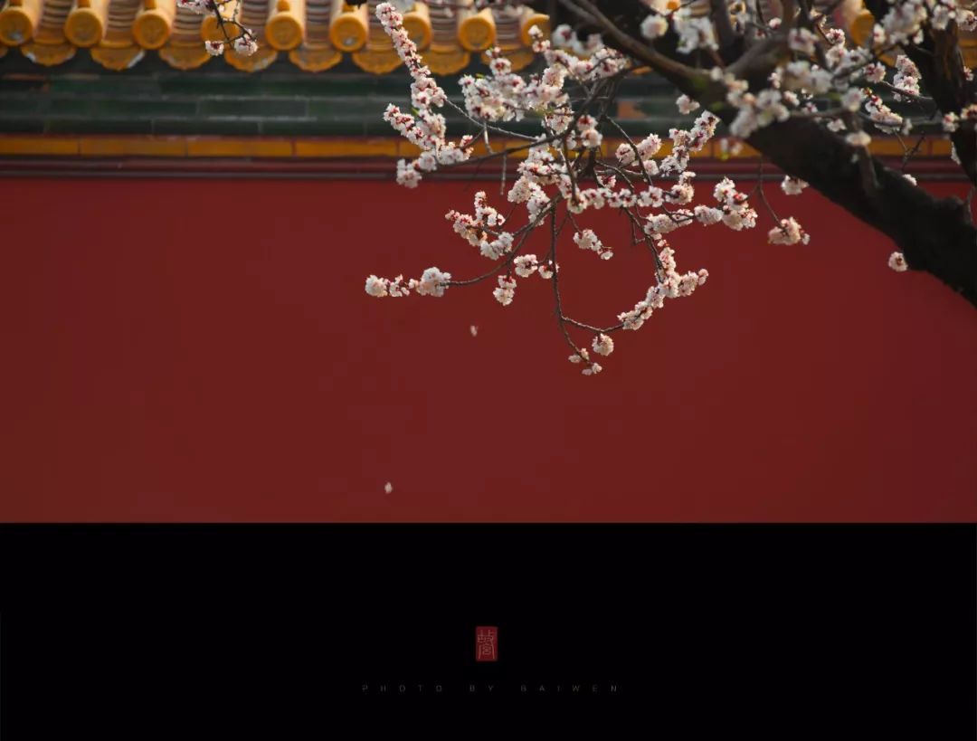 国潮真的了不起引领新潮流,国潮才是真正的潮流