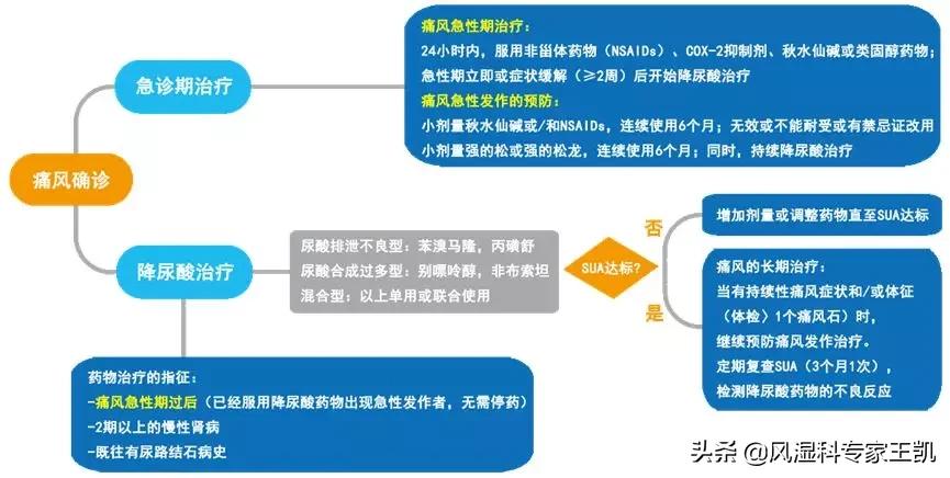 痛风用药最全攻略100%干货,痛风用药最全攻略