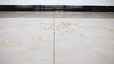 东芝吸尘器cl1400测评,东芝吸尘器1400