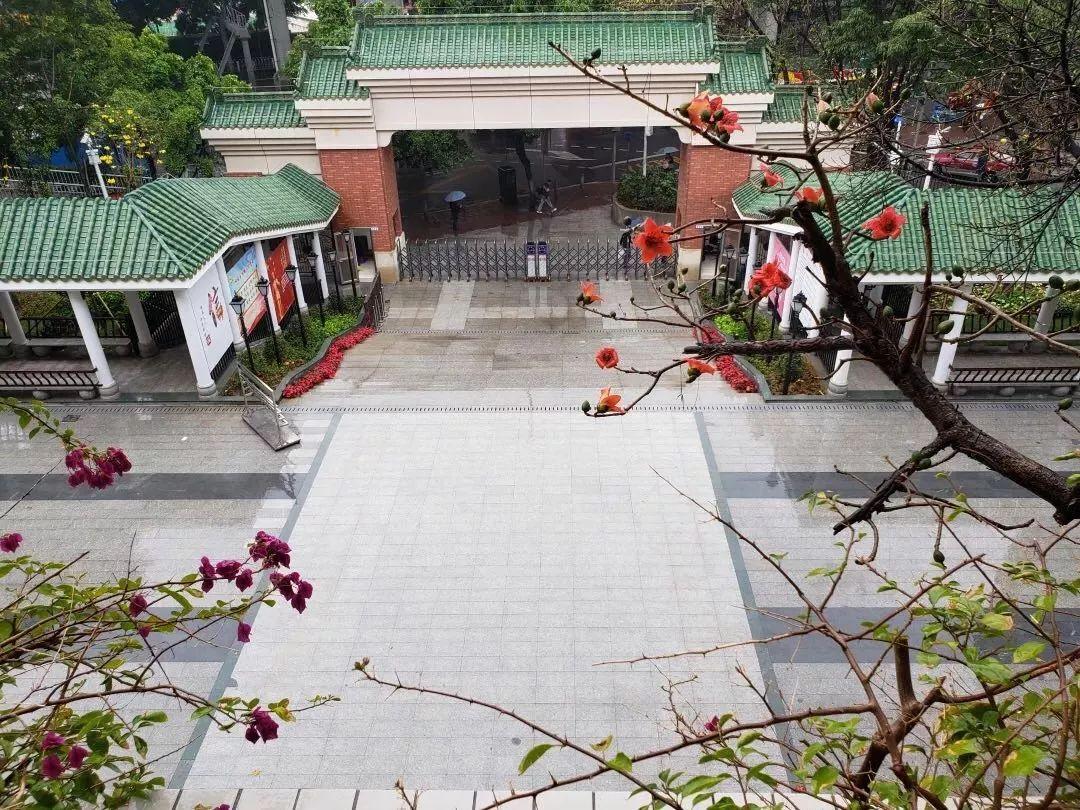 广州荔湾区哪几家小学比较好,广州荔湾区最好小学排名