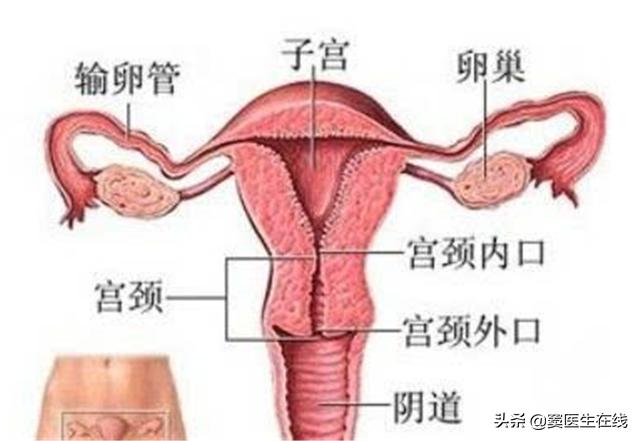 12岁女生有月经却看不到阴道口？这是为什么？