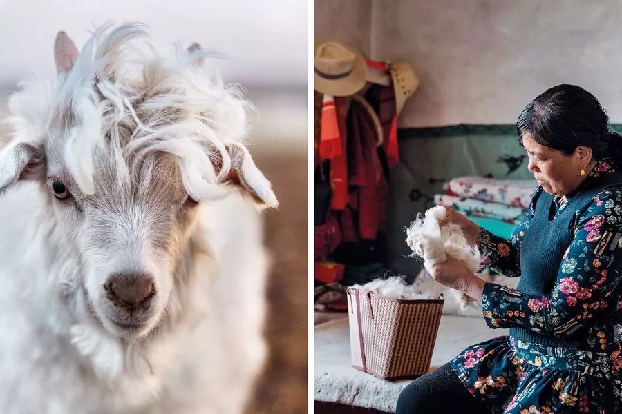 上万的大衣值得买吗,高端上万大衣