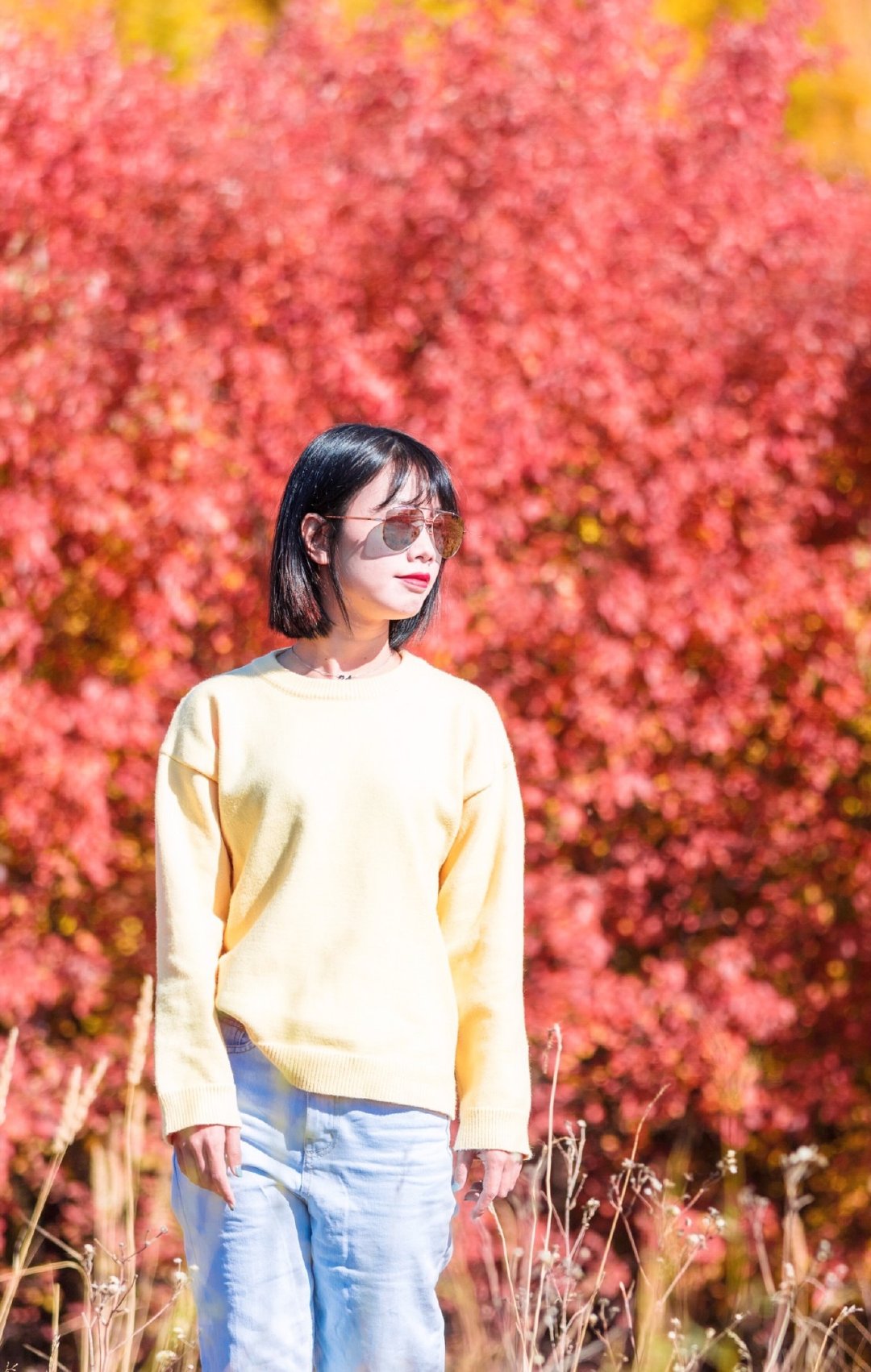 哈尔滨满洲里自驾路线,哈尔滨满洲里自驾视频