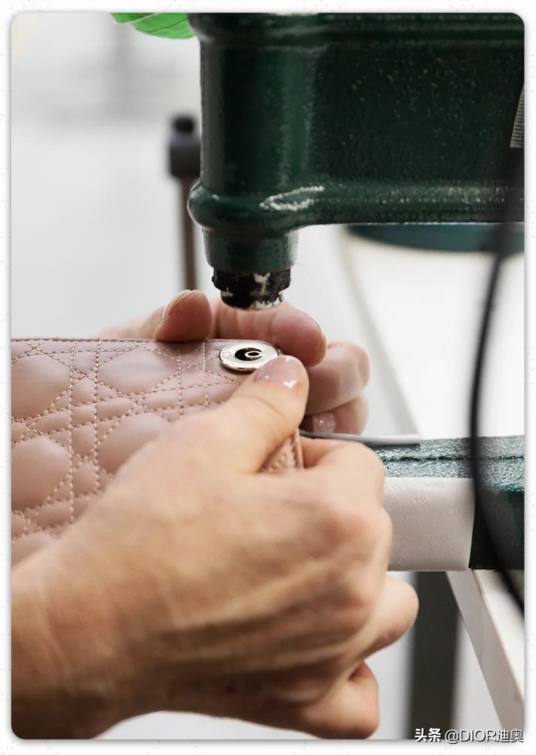 ladydior特别款,ladydior全部款式