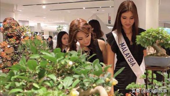 日本购物必买家电,日本高档购物必买清单