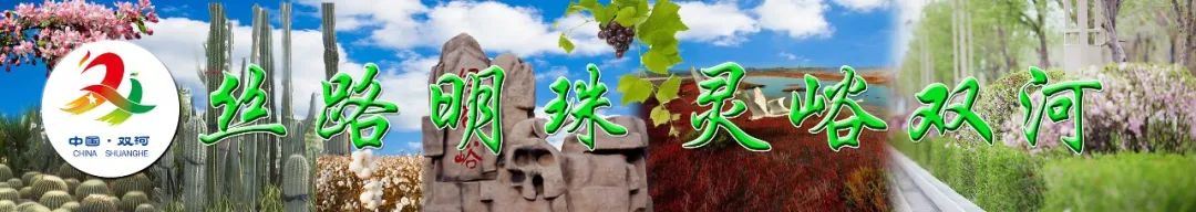 师市重大项目建设再提速