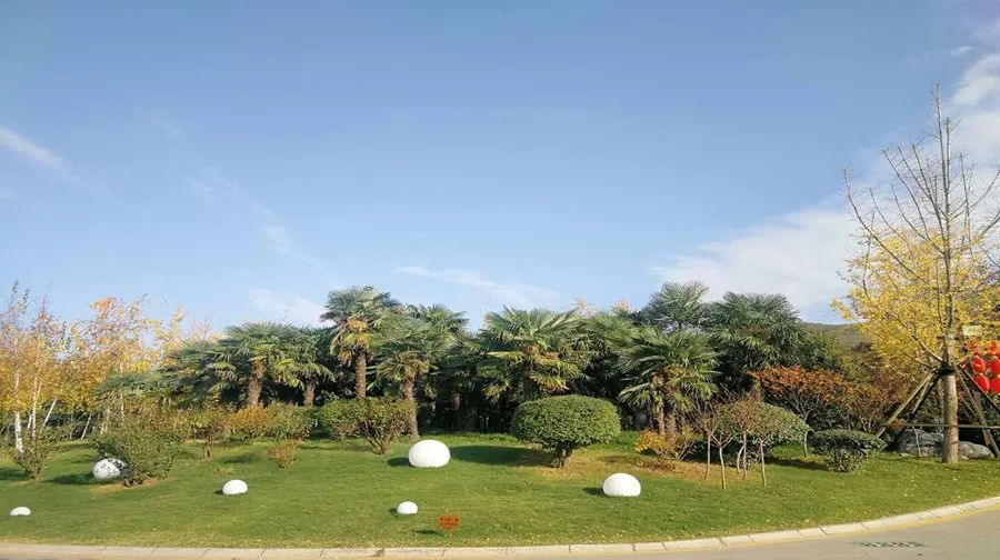 太白山凤凰温泉299住宿套餐,5.1假期太白山凤凰温泉门票团购