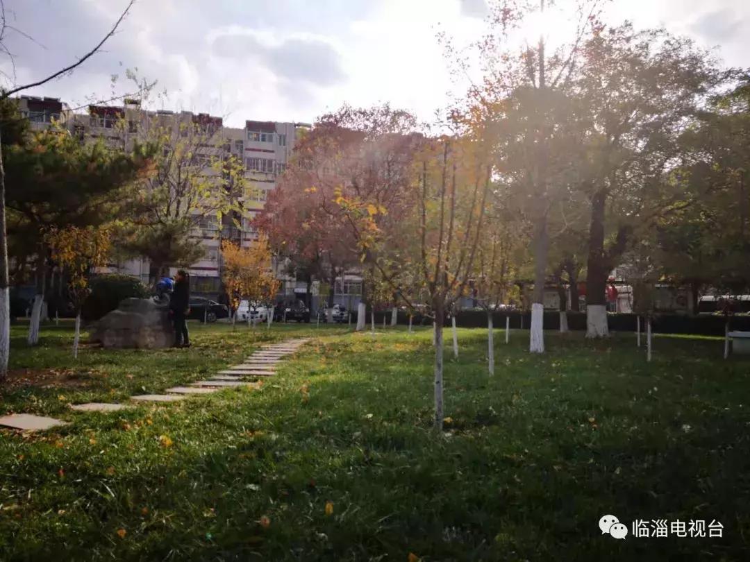 淄博市经济社会发展现场观摩点评,2020年度淄博市经济社会发展